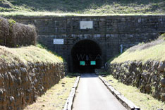 Tunnel Tours